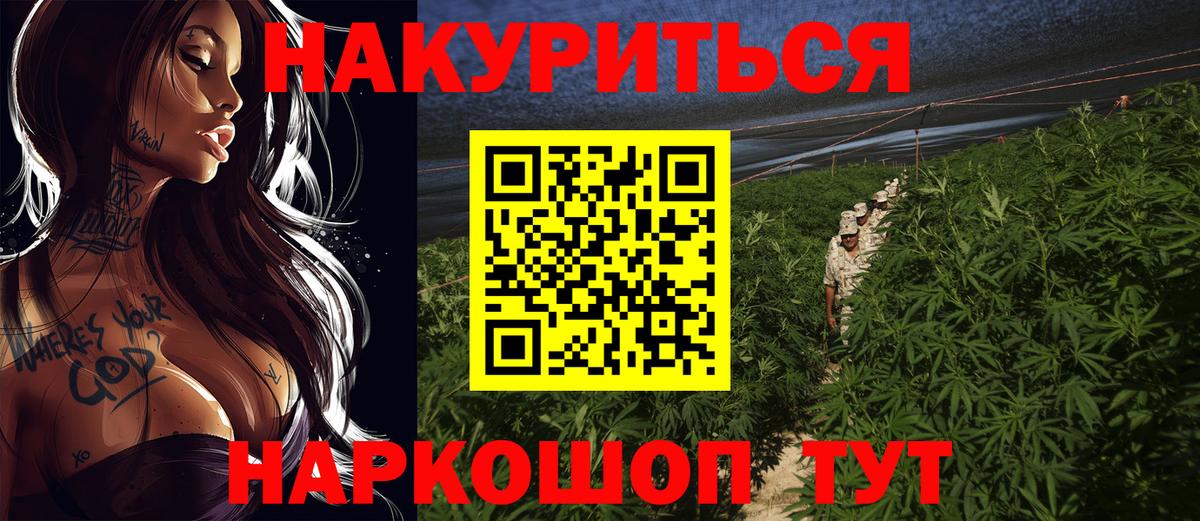 Камышин  Каннабис OG Kush  Вход с VPN  Каннабис AK-47 